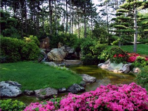 Japanese-garden